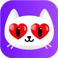 b站暴躁少女csgo視頻播放器