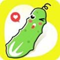 草莓视频ios下载最新版