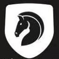 午夜dj视频观看在线HD高清