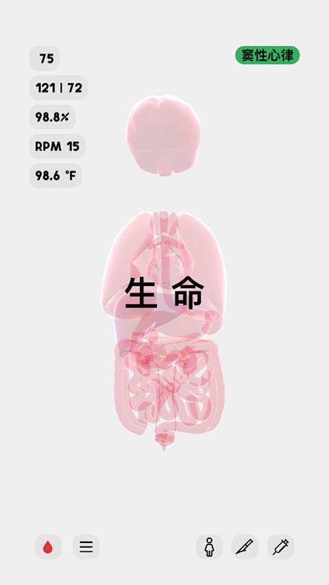生命人体模拟器3
