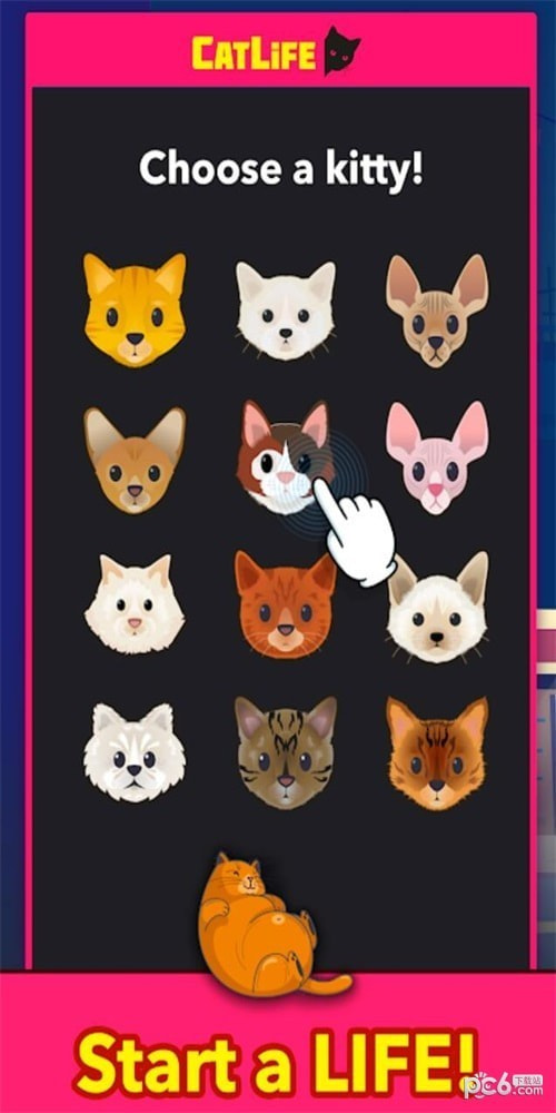 猫生2