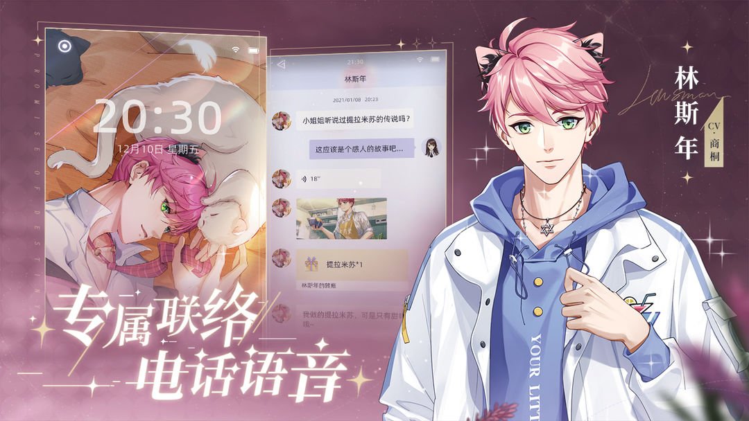 猫之宿约者九游版2