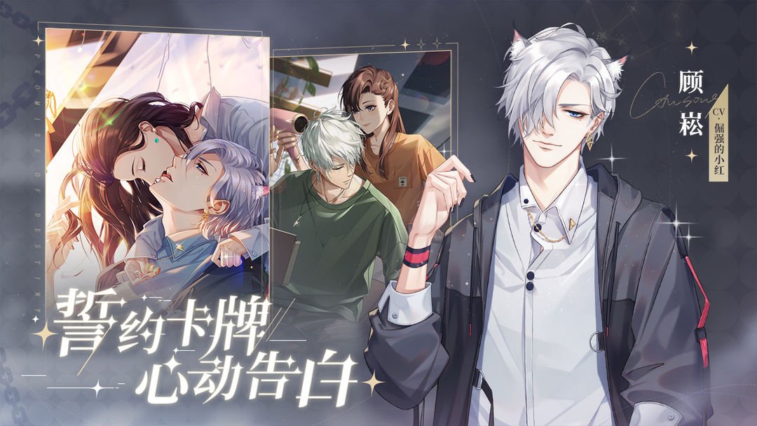 猫之宿约者九游版4