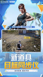 pubg无风国体插件2